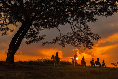 Three men dressed in cowboy garb, with horses and guns. a cowboy riding a horse in the sunset .