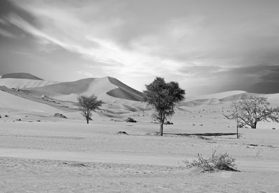 Scenic view of desert against sky