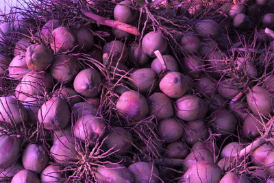 Full frame shot of fresh coconut in market