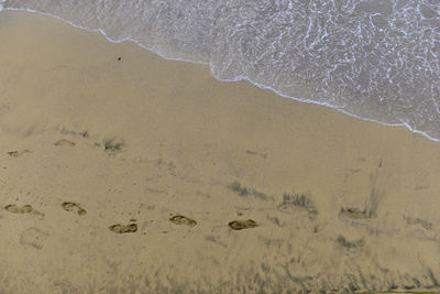 High angle view of footprints on sand at beach