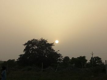 Silhouette trees on field against clear sky during sunset