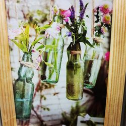 Close-up of flowers in bottle