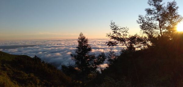 Scenic view of sunset