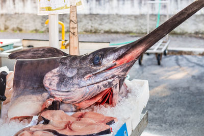 Close-up of fish on ice at market