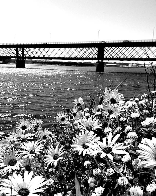 VIEW OF BRIDGE OVER RIVER