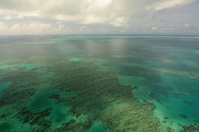 Aerial view of the great barrier reef. port douglas. queensland. australia