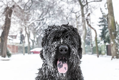 Woman covering face on snow covered field