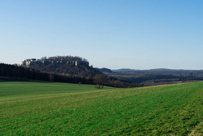 Scenic view of field against clear sky