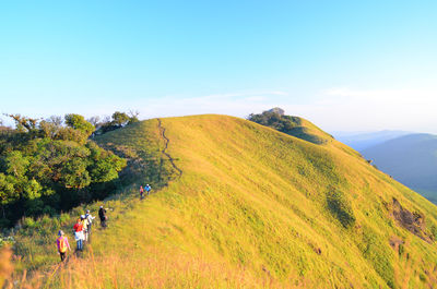 Panoramic view of people on landscape against clear sky