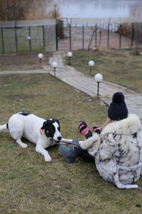 High angle view of bucovina dog playing with owner in grass