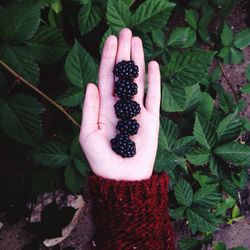 Close-up of strawberries