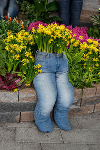 Low section of person standing by flower pot