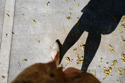 Low section of person standing on wooden floor