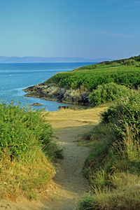 Scenic view of sea against clear sky