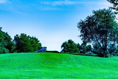 Trees on field against blue sky