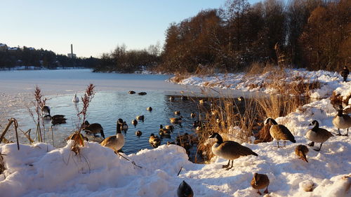 Scenic view of frozen lake against sky during winter