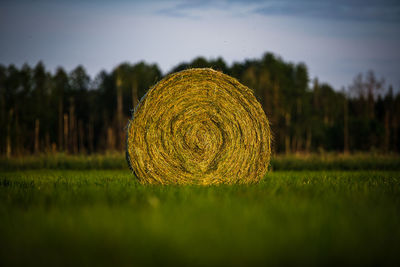 Hay bales on field against sky