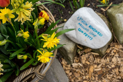 High angle view of flowering plants and text on plant