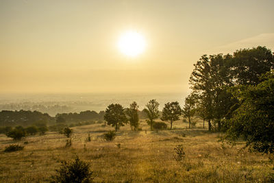 Scenic view of field against sky during sunset