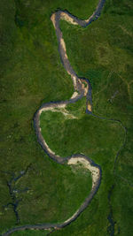 High angle view of green landscape