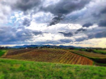 Scenic view of agricultural field against sky