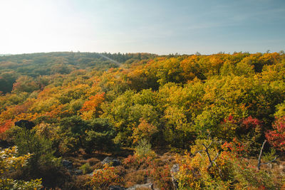 Famous tourist site of the protected nature reserve divoka sarka, prague, czech republic