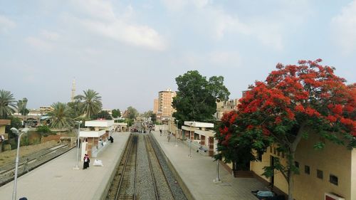 Street amidst trees and buildings against sky