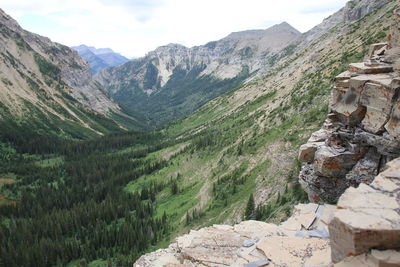 Scenic view of green landscape