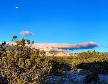 Scenic view of land against blue sky