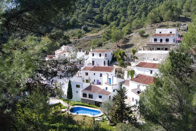 High angle view of townscape by trees