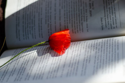 Close-up of red flower on open book