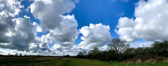 Panoramic shot of trees on field against sky