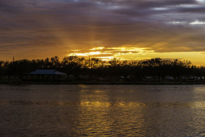 Silhouette trees by sea against sky during sunset