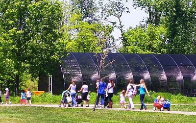 People relaxing in park