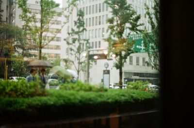 Trees and buildings seen through glass window