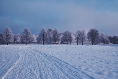 Scenic view of snow covered landscape