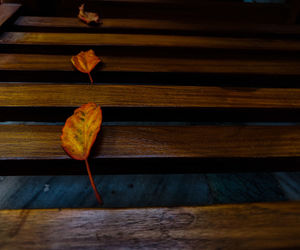 Close-up of orange on table