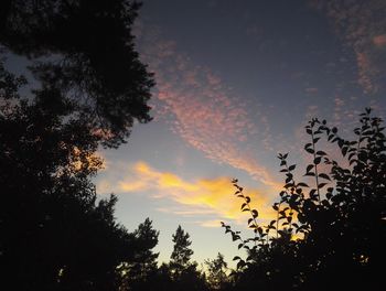 Low angle view of silhouette trees against sky at sunset