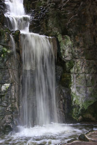 View of waterfall in forest