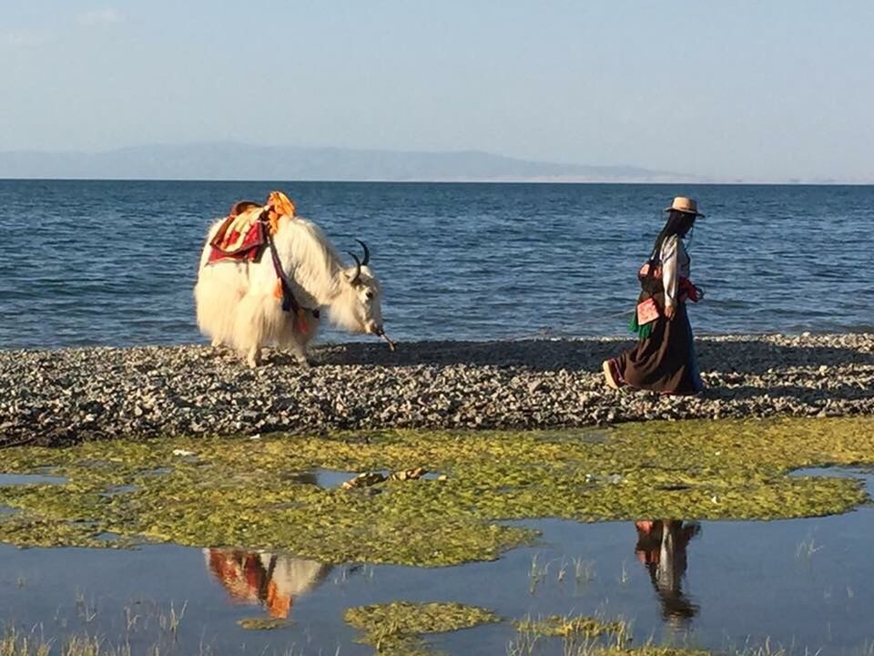 REAR VIEW OF MAN STANDING WITH DOG ON SEA AGAINST SKY