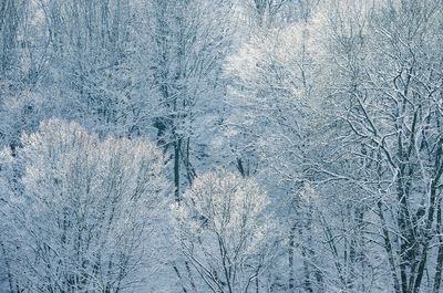 Scenic view of snow covered land