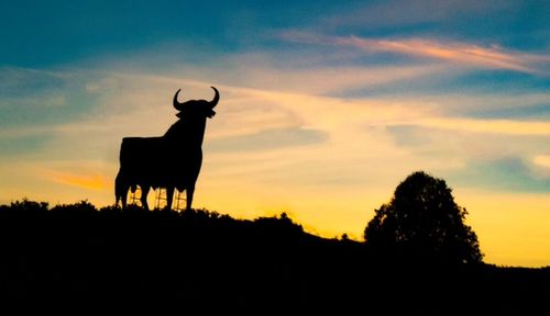 Silhouette of a horse