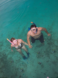 High angle view of scuba diving in sea