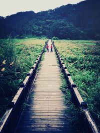 Footpath leading to mountain