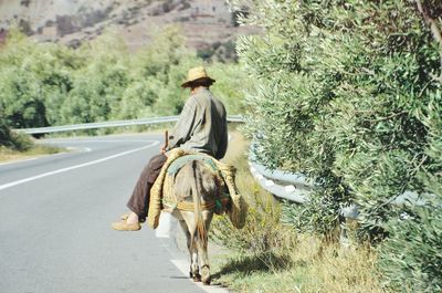 Rear view of man sitting on donkey