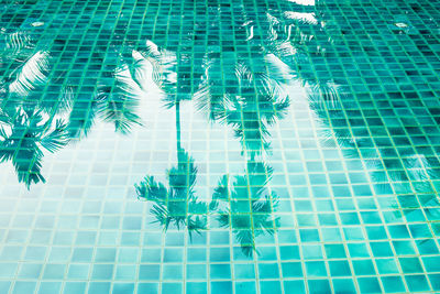 High angle view of swimming pool