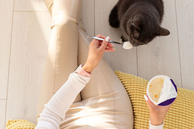 Woman feeds cat with yogurt from spoon. black cat begs for food from owner eating yogurt on floor