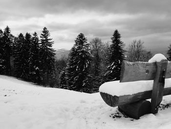 Snow covered field against sky