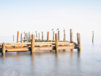 Rest of pillars and poles of port mole in fishing village of vitt near kap arkona on ruegen island