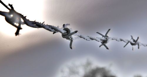 Low angle view of frozen barbed wire against sky during winter